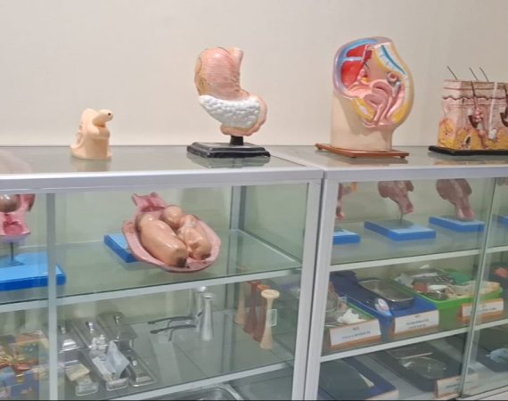 WhatsApp Image 2025-10-25 at 16.20.39