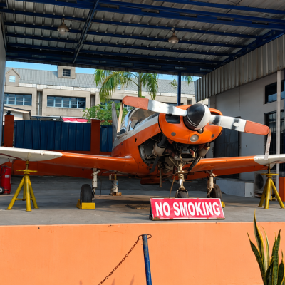 Marchetti SF.260 Full Body